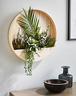 Mixed Succulents in Round Wood Wall Planter