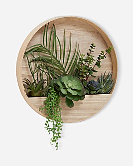 Mixed Succulents in Round Wood Wall Planter