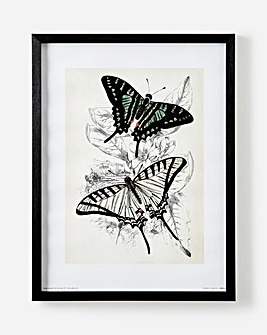 Piddix Butterflies Framed Wall Art