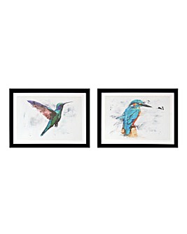 Set of 2 Kingfisher Framed Print