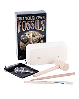 Dig Your Own Fossil Gift Box