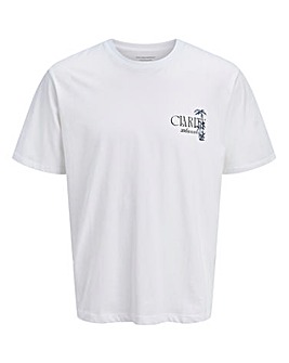 Jack & Jones Bradley Back Graphic T-Shirt - White
