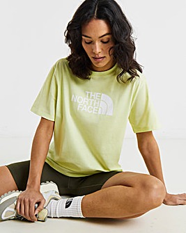 The North Face Evolution Half Dome Relaxed T-Shirt