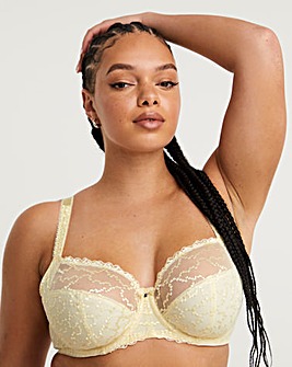 HH Cup Bras and Lingerie, HH Bra Size