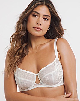 Dorina Curves Aniyan Full Cup Wired Non Pad Bra