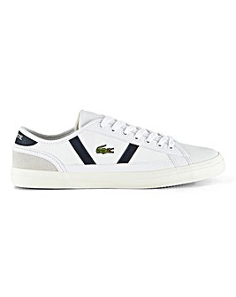 lacoste trainers size 13