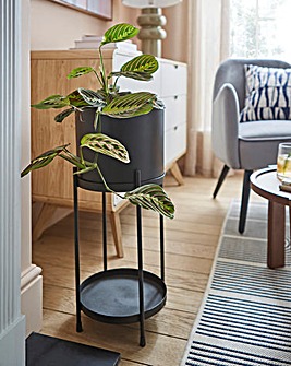 Gray & Osbourn Metal Planter with Stand