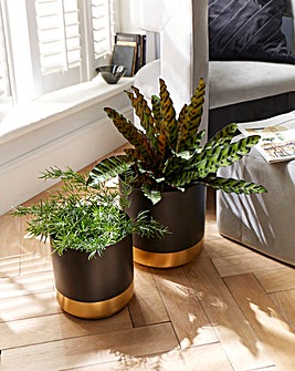 Joanna Hope Set of 2 Metal Planters