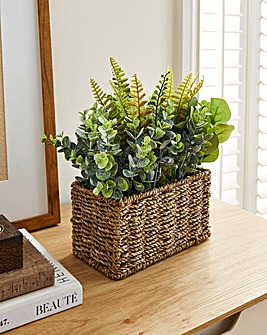 Green Ferns in Seagrass Basket 30cm