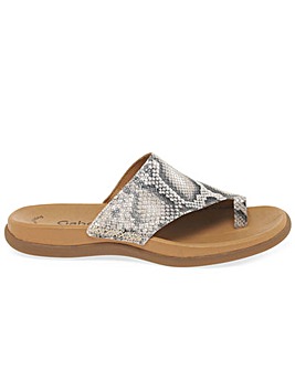 gabor lanzarote mules