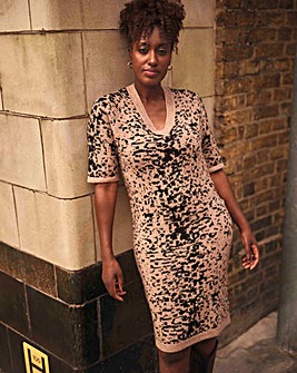 Animal V Neck Dress