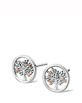 Clogau Tree of Life Circle Earrings