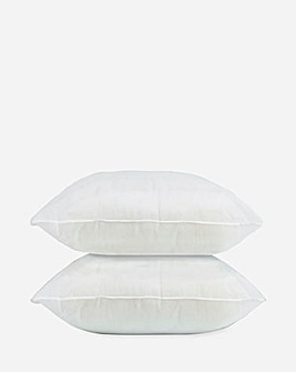 Cushion Fillers Pack of 2