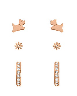 Radley Rose Gold Plated Sterling Silver Triple Pack Earring Set