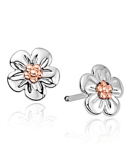 Clogau Forget Me Not Drop Earrings