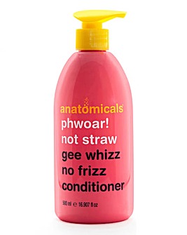 Anatomicals Phwoar Not Straw No Frizz Conditioner