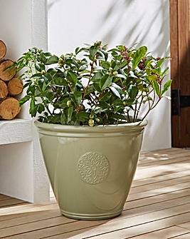 La Hacienda Eden Emblem Green Planter 40cm