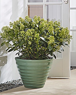 La Hacienda Vale Sage Green Planter 40cm