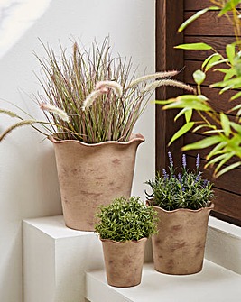 Ivyline Outdoor Ada Scalloped Edge Terracotta Planter - Set of 3