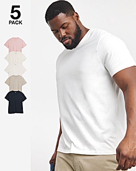 5 Pack Multi V Neck T-Shirts Reg