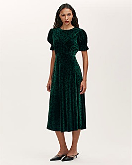 Finery London Animal Print Velvet Dress