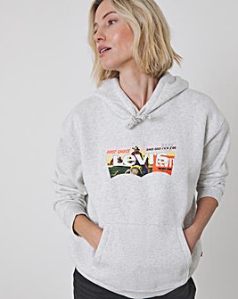 Levi's Graphic Everyday Hoodie
