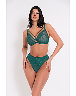 Scantilly by Curvy Kate Senses Plunge Wired Bra