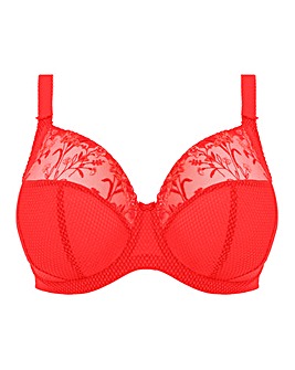 Elomi Charley Plunge Wired Bra Salsa