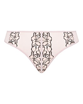 Contemporary Mesh & Lace Brief