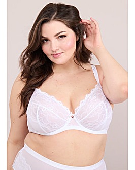 Oola Lace And Logo Underwired Bra