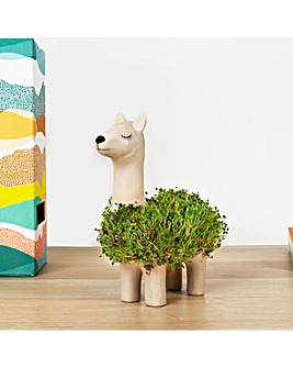 Llama Planter with Chia Seeds
