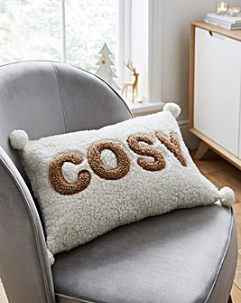 Cosy Teddy Fleece Cushion