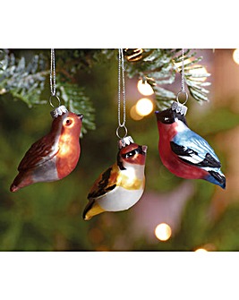 British Birds Tree Ornaments Set of 6