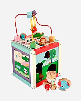 Fisher Price Wooden Activity Cube