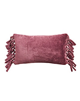 Silky Tassled Cushion Cover