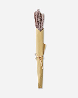 Dried Reed Grass Bundle in Paper Wrap Lilac
