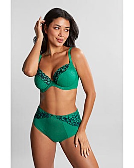 Panache Envy Plunge Wired Bra