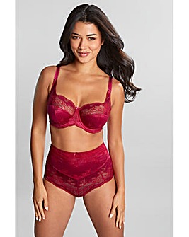 Panache Clara High Waist Brief