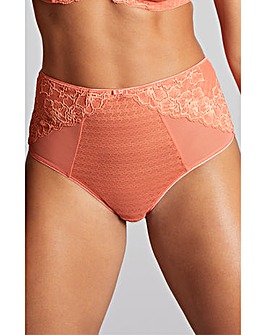Panache Envy Deep Brief Terracotta