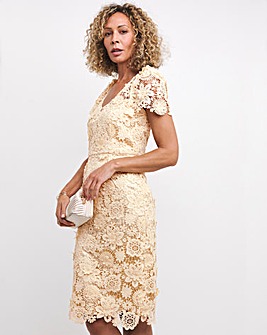 Joanna Hope 3D Lace Midi Dress