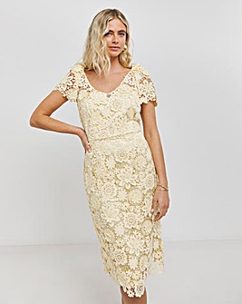 Joanna Hope 3D Lace Midi Dress