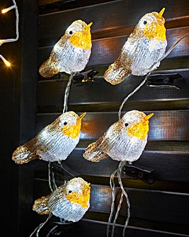 5 Robin Clip on Lights