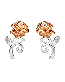 Beauty & The Beast Earrings