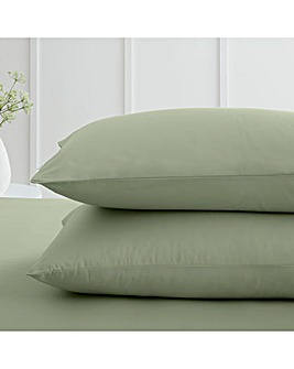 Bianca 200 TC 100% Cotton Pillow Case Pair