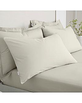 Bianca 200 TC 100% Cotton Pillow Case Pair