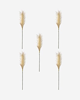 Pack of 5 Goma Soft Blush Feather Stem