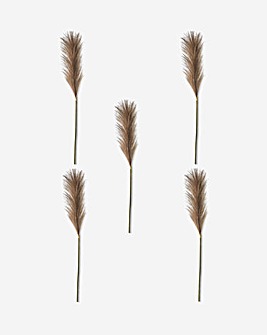Pack of 5 Goma Brown Feather Stem