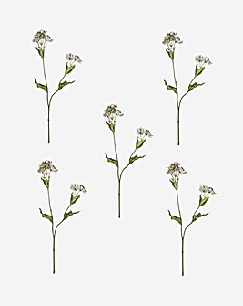 Pack of 5 Faux Lilac Astrantia Stem