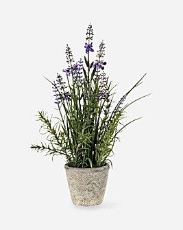Faux Lavender with Cement Pot 31cm x 18cm