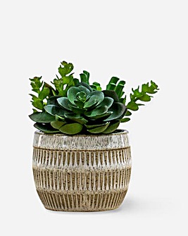 Faux Succulent in Ceramic Pot 14cm